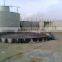 China Puxin High Reliable 100m3 Biogas Digester for Cow Manure/ Dung Treatment