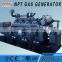500kW/625kva NPT brand natural gas generator price