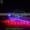 Wholesale SMD 3528 5050 LED strip light
