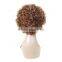 MAIN PRODUCT curl remy short brazilian human hair wig