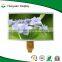 10 inch tft 1024 x (RGB) x 600 resolution lcd display