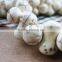 16inch Strand 14*7MM Bone Shape White Turquoise Beads,white Stone Beads,bone Beads 3010027