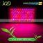 UV Red Blue indoor hydroponic 300w led grow lamp