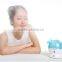 wholesale hot product Electric cold mini facial steamer