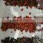 5000+pixel hot sell 2017 granos de cereal compaginador del color,separating machine