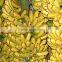 Fresh Sweet Banana