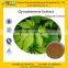 Factory Offer for Hot Sale Jiaogulan Extract