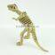 Factory direct sale realistic dinosaur skeleton toy