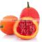 100% pure natural Gac fruit Momordica Cochinchinensis Sement Momordicae extract