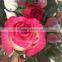 Fresh Cut Flower Roses types of fresh rose flower