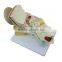 Ear Plastic Education Human Body Anatomy Model