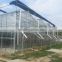 Greenhouse For Hydroponics