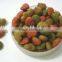 Advanced Nutrition Dry Dog Food