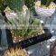 Imitation ceramic photo frame plastic pots and planters rectangular