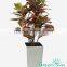 hot decoration, flower pot , vase