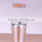 Metal Zinc Double Pot for Children, Home, Garden