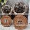 Wicker&woven basket for laundry