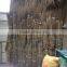 high quality cleaing bamboo broom