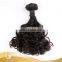 New Arrived Raw Unprocessed Women Hair Brazilian New Funmi Curly Hair