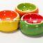 Ceramic Hamster bowl feeder fruit style cute ceramic bowl for small animal