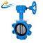 300mm Lug Type EPDM Lined Butterfly Valve dn15