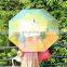 Private Label Trendy OEM Japan Modern Colour Changing Adult Outside Customise Umbrella