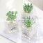 2021 Newest Artificial Succulents Tabletop Greenery Clear Square Glass Pots Pebble Rock Planter Plants Cactus For Home Decor
