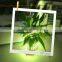 New light SMD5050 DC12V/24V rgbw wireless bendable led strip light