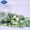 freeze dried leek