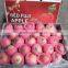 2015 crop Chinese fresh fuji apple