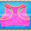 Fashion Seamless Sport Bra