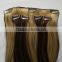 Indian virgin human hair extension with clips