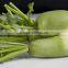 Onion and Pepper Cutting Machine|Ginger and Banana Slicing Machine