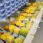 Zhi Tong factory supply food grade bamboo skewer vietnam