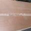 12MMX1220X2440 poplar core hardwood core okoume face BB/CC grade competitive price commercial plywood