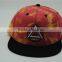 High Quality Flat Embroidery Dying Snapback Caps Cap Snapback