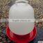 Chicken Feeder And Drinker For Sale