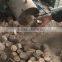 Biomass briquette press machine for environmental fuel