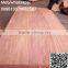 burckella wood veneer/keruing veneer to India market