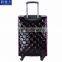 PVC Luggage Light Trolley Case Beautiful Suitcase Luggage