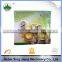 Manufacturer of Brass Auto/Car Battery Terminal