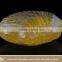 handmake transparent soap