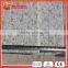 Flamed Granite Paving Stone Pattern