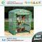 NEW WALK IN GREENHOUSE GARDENING SEEDS PROPOGATING POP UP Garden GREEN HOUSE