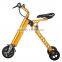 Quick folding adult kids 3 wheel electric bicycle with brushless motor