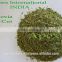 Stevia Rebudiana / Stevia Leaves Powder / Stevia Leaves TBC