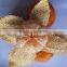 Fresh Nanfeng Mandarin Orange Fruit