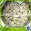 Preserve Champignon Mushroom