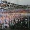 Poultry slaughtering equipment for chicken 008618052092685