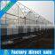 Film Cover Material Multi Span Agricultural Type Tomato greenhouses